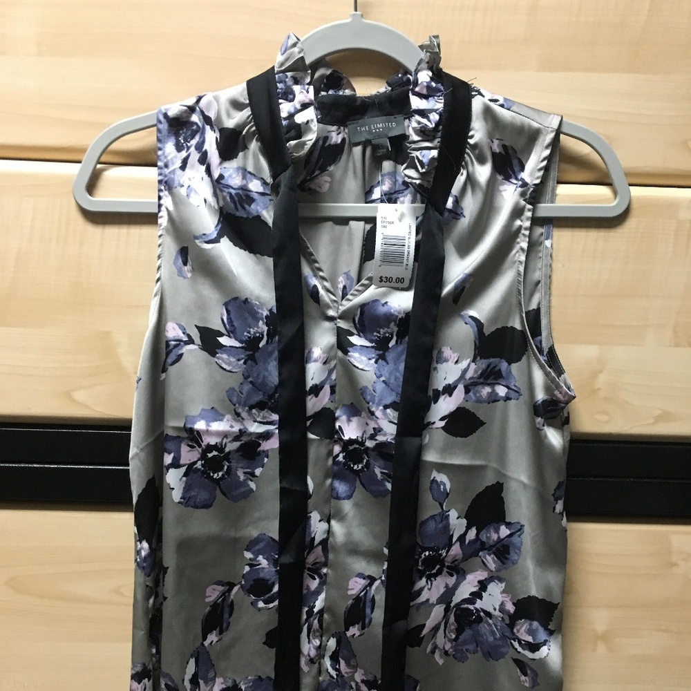 The Limited Dress shirt